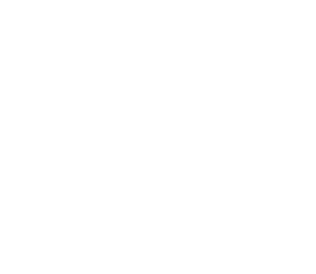 ALEJANDRO SAN NICOLÁS